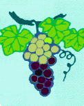 ワイン専用葡萄